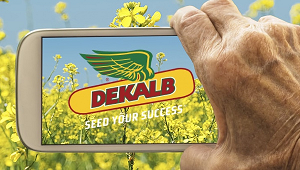 Agricoltura sostenibile con Dekalb smart