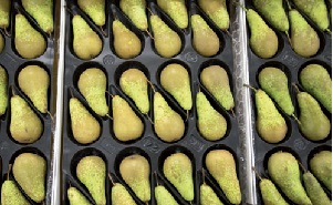 Le pere fra creatività e gusto