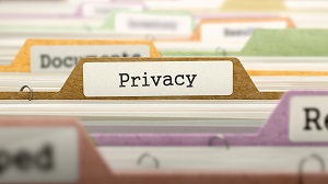 Il responsabile della protezione dei dati