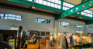 Roma, Car ricicla con Rilegno