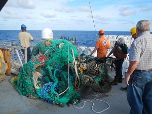 Il triste record della Grande chiazza di plastica del Pacifico