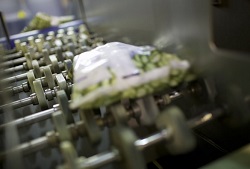 Fruttagel, crescono surgelati, bevande vegetali e biologico, stabile l'export