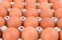 Le uova, versatili e di prezzo contenuto