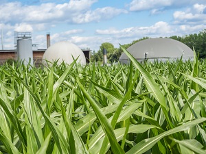 Protocollo d’intesa per il biometano agricolo