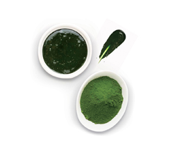 Longino & Cardenal su Aim Italia