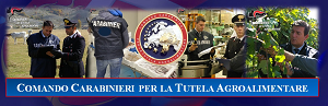 Salumi e pelati: nuovi sequestri dei Carabinieri