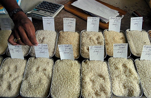 6+, il riso potenziato con selenio e iodio