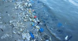Il Parlamento Ue dice addio alla plastica monouso entro 2021