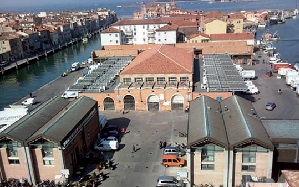 La filiera ittica di Rovigo e Chioggia