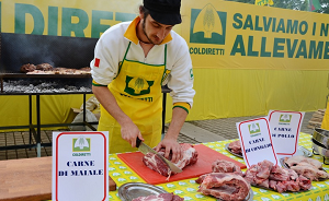 Gli italiani dicono di no al sintetico