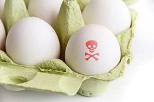 Ravennate, 8 milioni di uova sequestrate