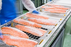 In Food Lab la produzione di salmone diventa una filosofia