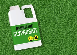 Monsanto e l’affaire glifosato