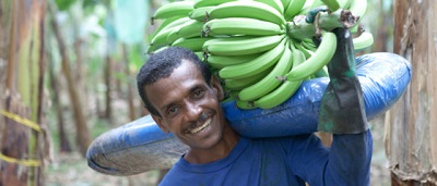 I numeri di Fairtrade International