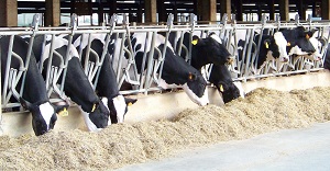 Nuovo accordo in Lombardia