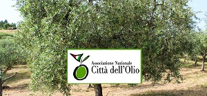 La Giornata internazionale dell’olivo