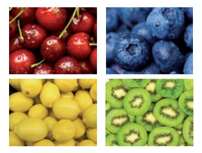 Frutta e verdura tutto l’anno con ProChile e One Click Import