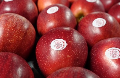 Sanifrutta punta sulla Mela Rossa Cuneo IGP