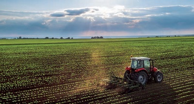 Patti chiari sui prezzi agricoli