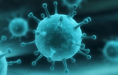 Convivenza uomo- animali