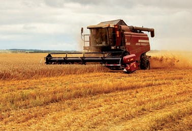 Amadori sul boom delle commodities