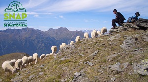 Snap, la scuola di pastorizia