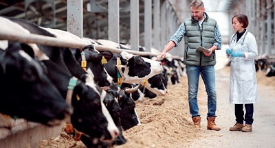 I paradossi del “Farm to fork”