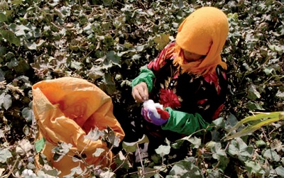 No di H&M al cotone Xinjiang