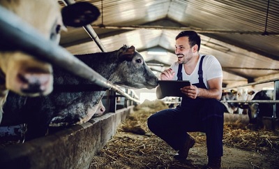 Un nuovo sistema di qualità nazionale