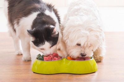 Il cibo per animali domestici crudo mette a rischio la salute dell'uomo?