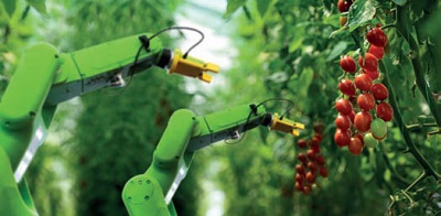 La robotizzazione nel food