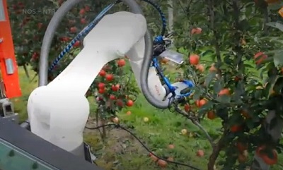 Società olandese lavora a un robot per raccogliere le mele