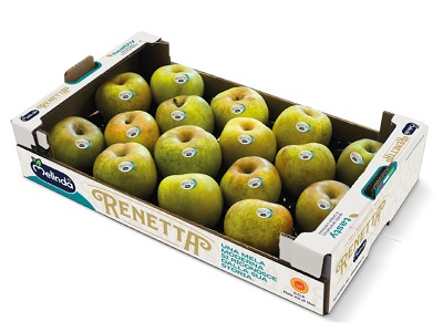 Nuova brand identity per Renetta Melinda