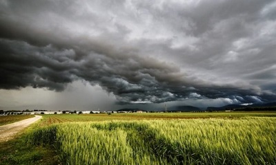 La crisi climatica taglia i raccolti italiani