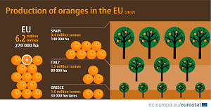 Spagna leader del mercato arance