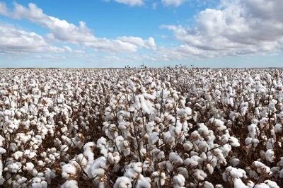 Primark cares, moda accessibile attenta al cambiamento