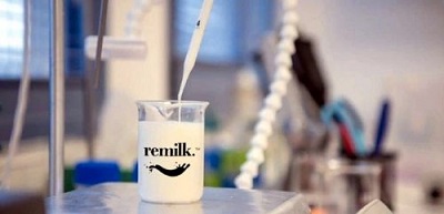 Latte sintetico: il caso Remilk