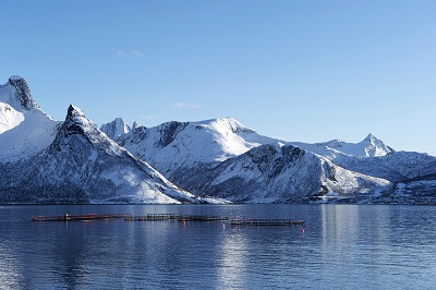L'acquacoltura norvegese si conferma ai primi posti  dell’Indice Coller FAIRR