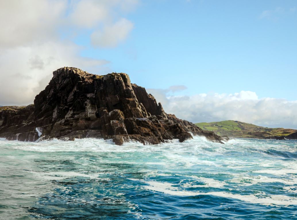 METRO Italia valorizza i prodotti irlandesi con Bord Bia