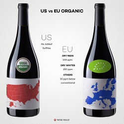 In Italia ¼ del vino biologico mondiale