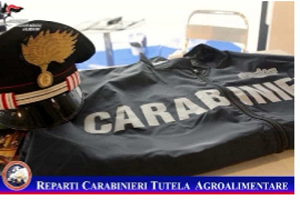 Maxisequestri dei Carabinieri in Provincia di Bolzano