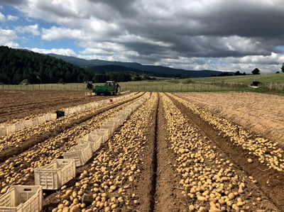 Dagli scarti… alle barrette