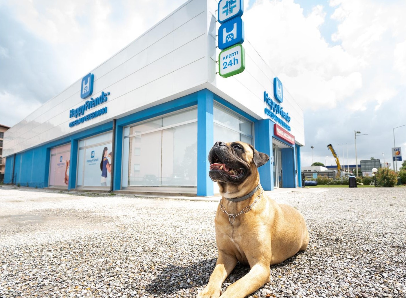 Arcaplanet acquisisce gli ospedali veterinari HappyFriends e MyPetClinic