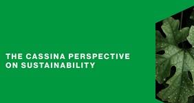 Design: la sostenibilità secondo Cassina