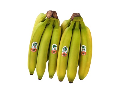 Le nuove banane a marchio Spreafico