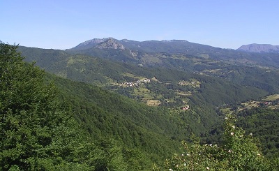 Conad e CPR System insieme per un progetto di riforestazione