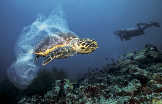 Mediterraneo antiplastica 