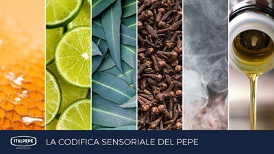 Italpepe pubblica la prima codifica sensoriale del pepe