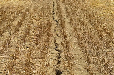 Rinnovarsi per il clima