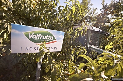 Valfrutta entra nel Registro speciale dei Marchi Storici